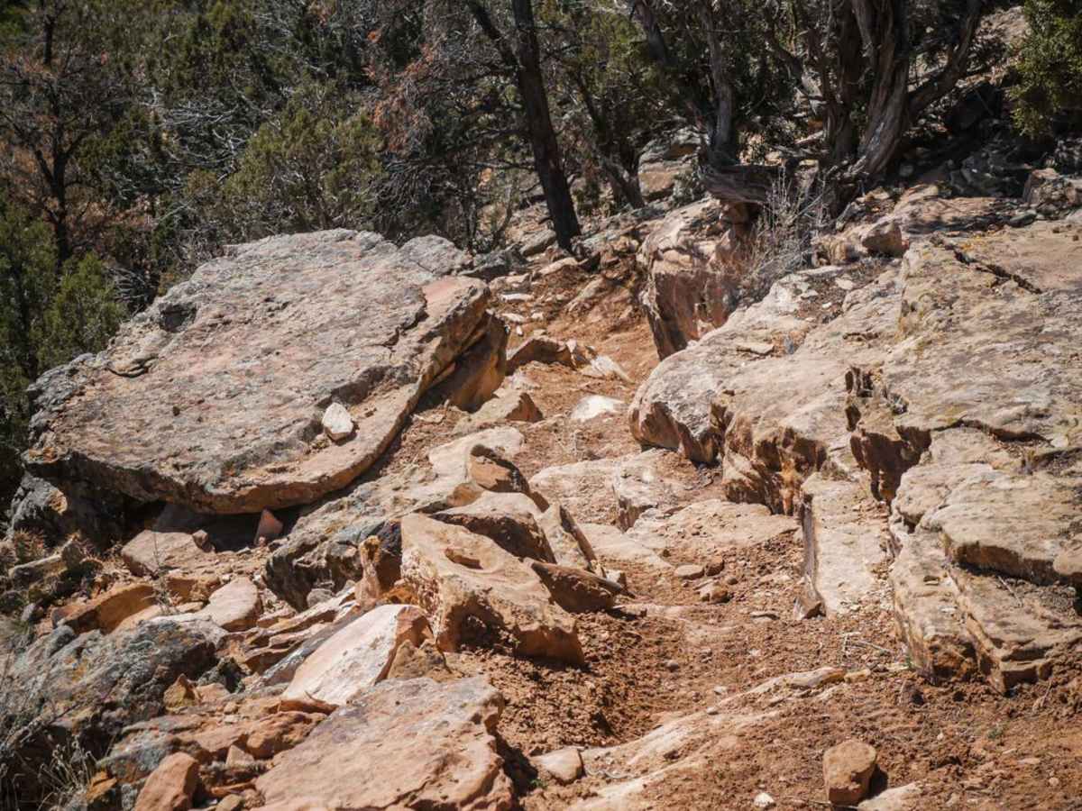 Fingers trail photo