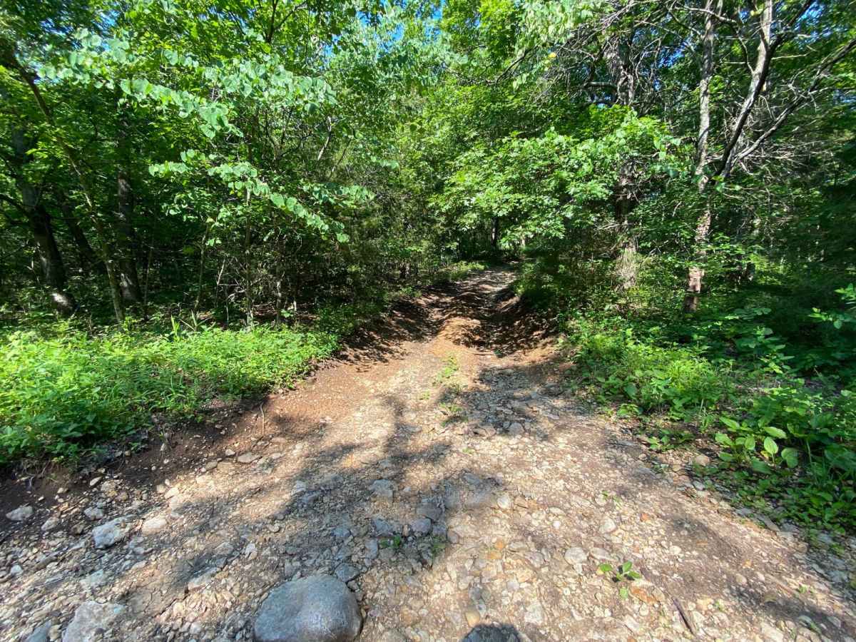 Donny V's Notch trail photo
