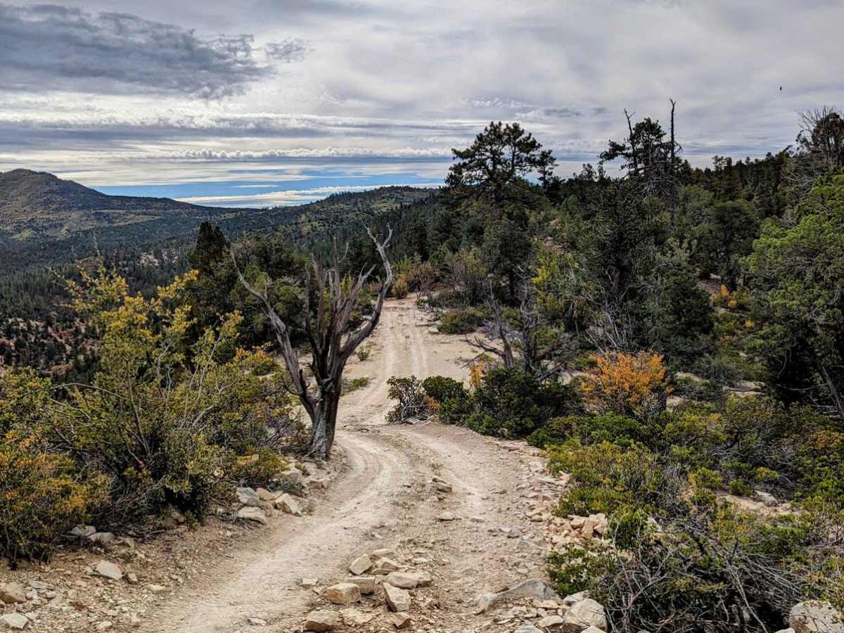 Sunset Point photo 6
