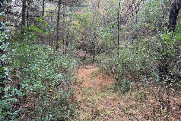 176 Single Track