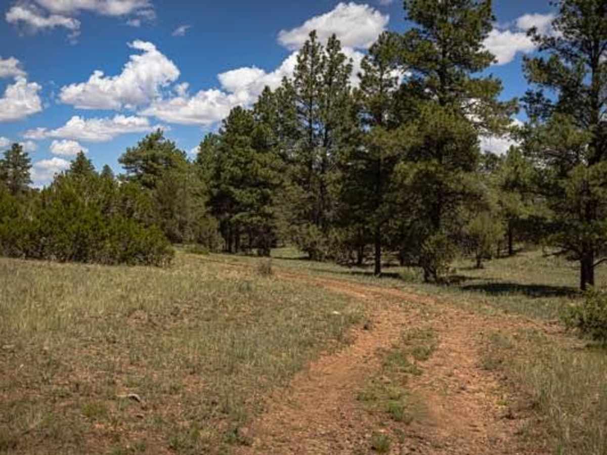 Pine Creek photo 6