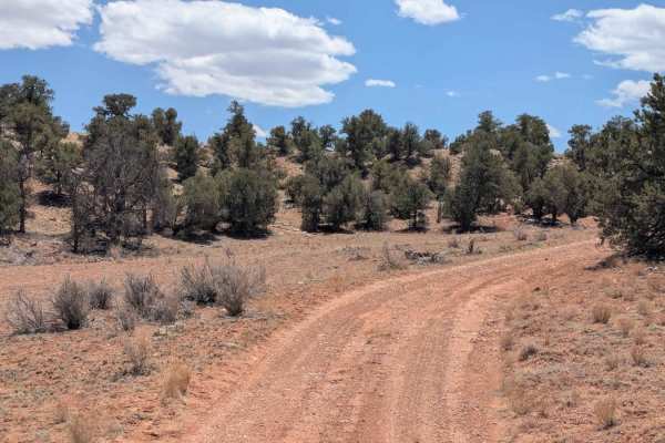 Cedar Ridge Climb