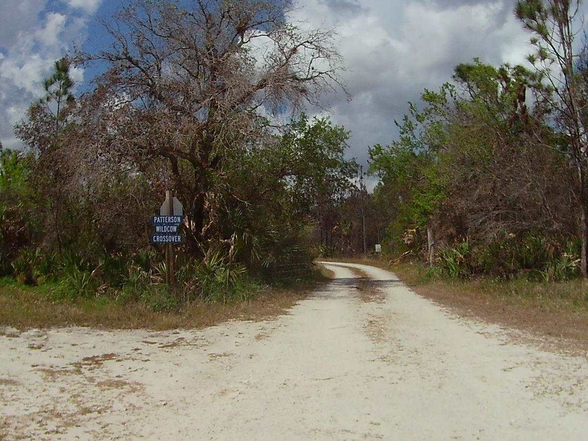 Patterson-Wildcow Crossover trail photo