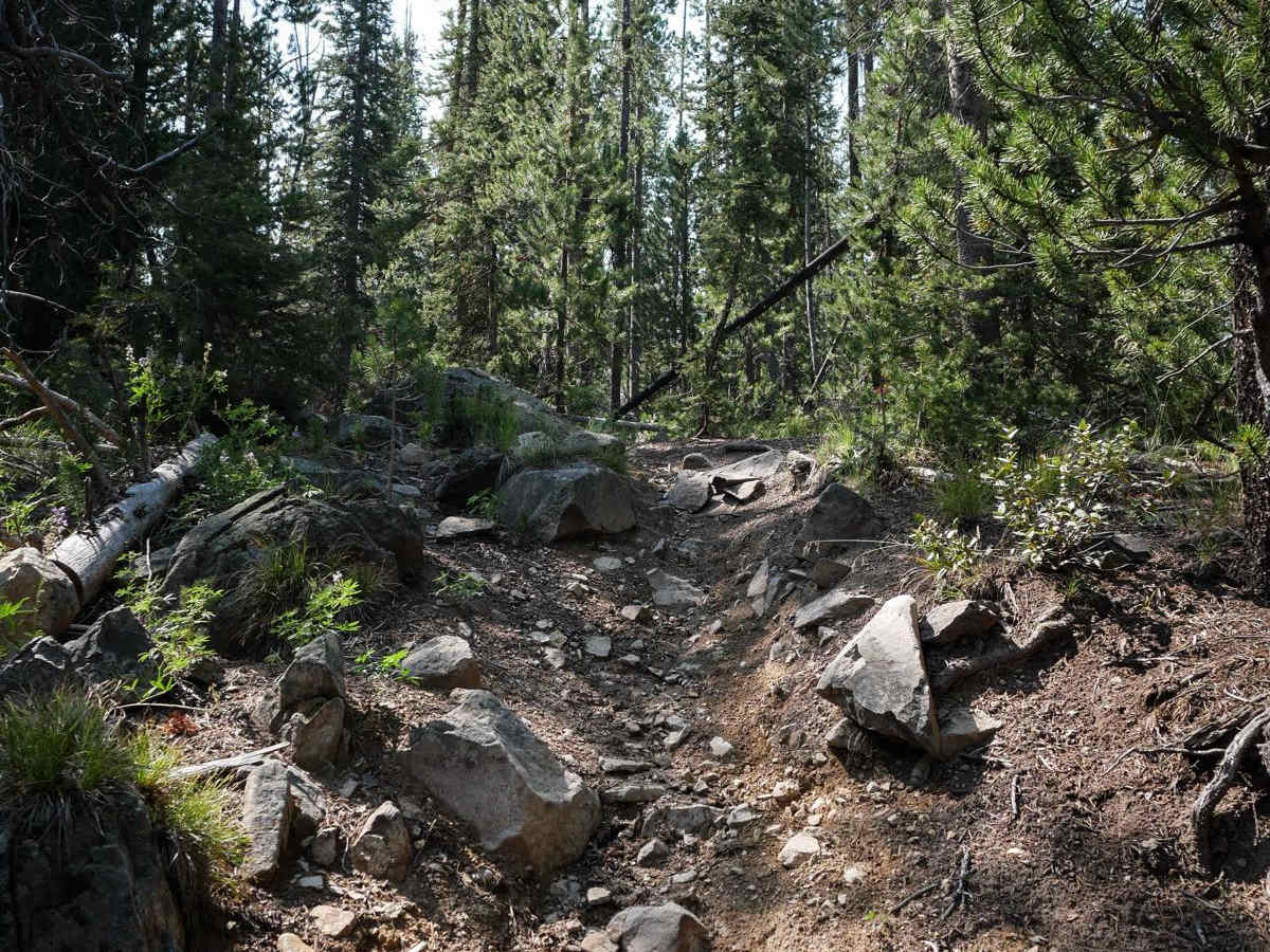 Buster Lake ATV trail photo
