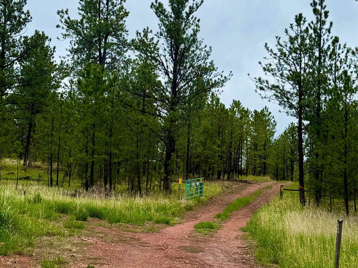FS 456.1F trail photo