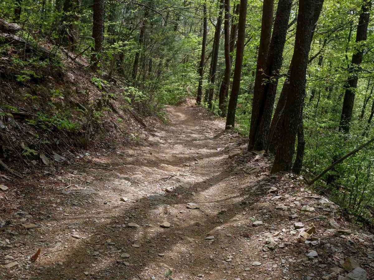 Windy Gap ATV photo 2