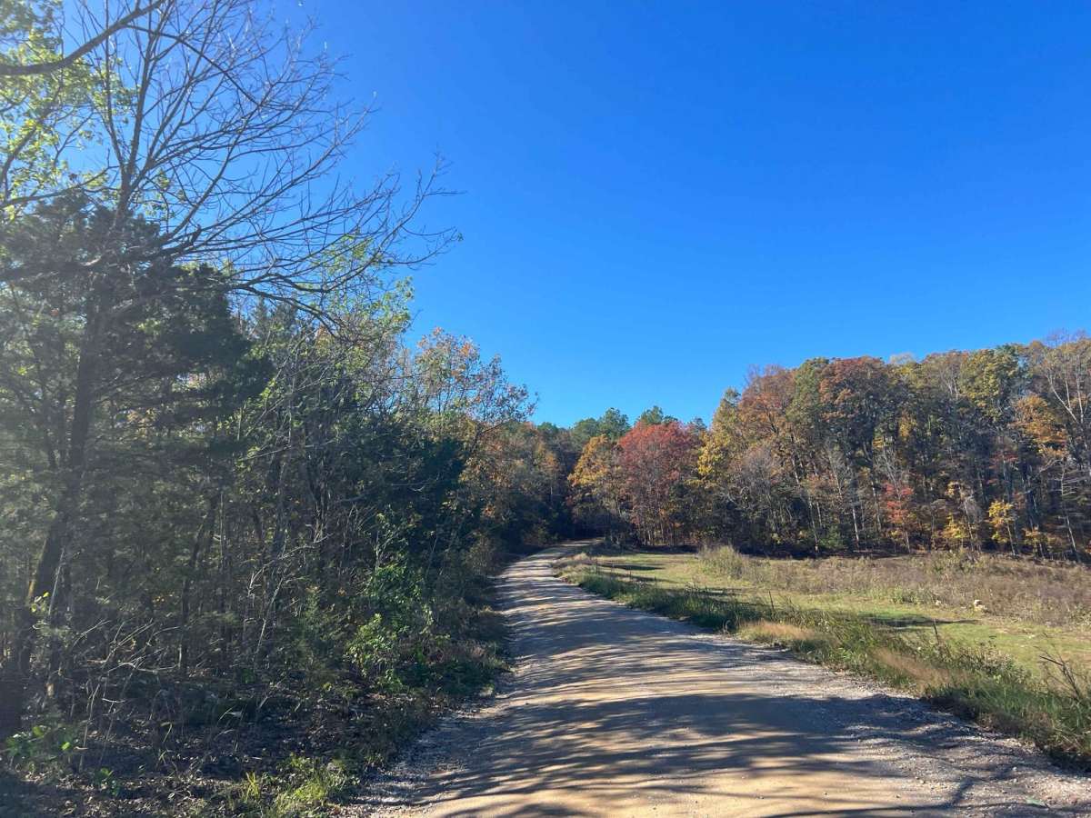 County Road 198 - FS272 photo 5