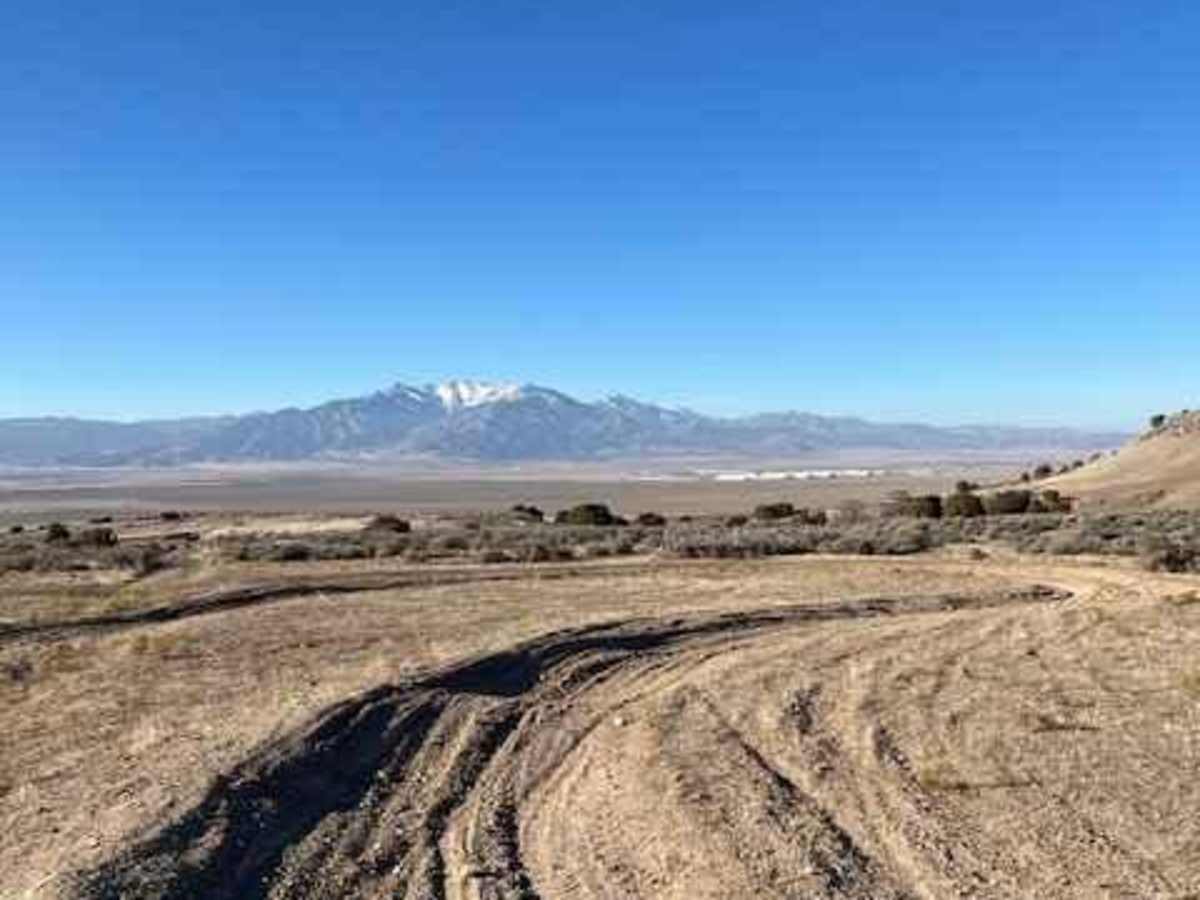 The Back 9 Turn Track trail photo