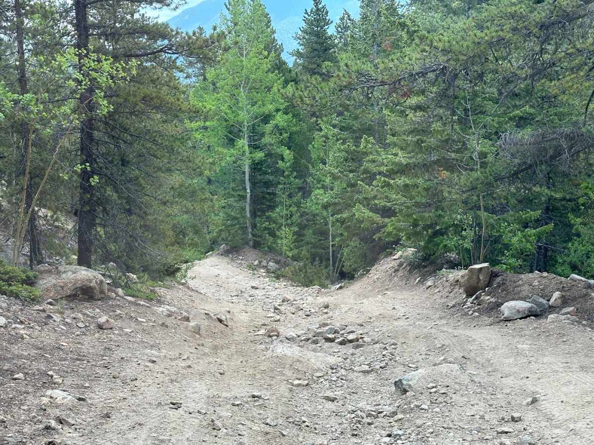 Bard Creek Road photo 5