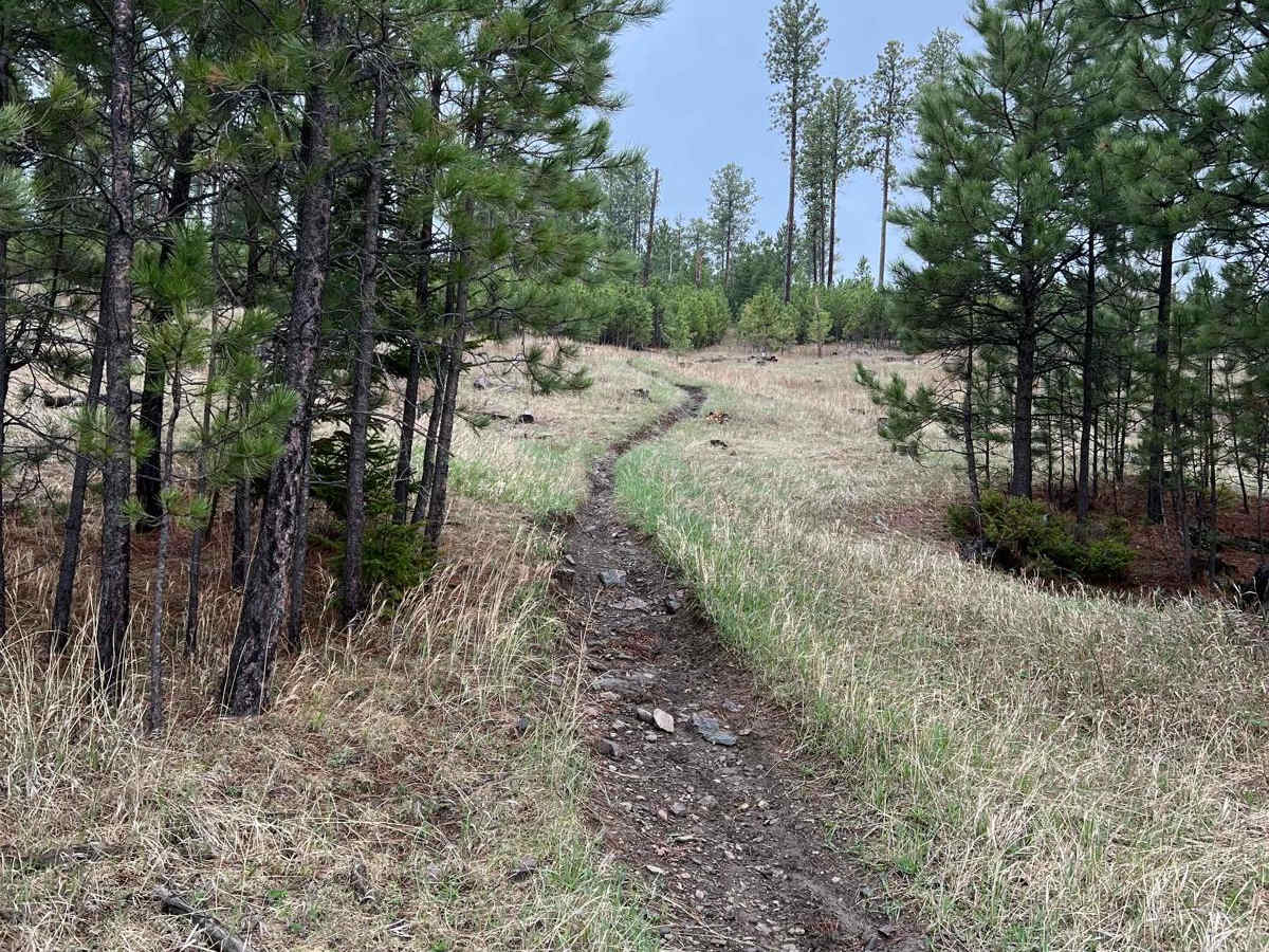 Boxelder Ridge Cut Through Final Leg photo 3