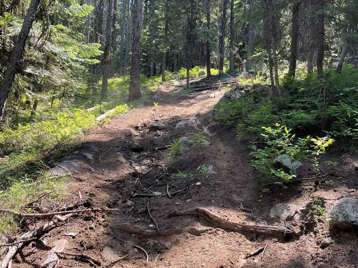 Morgan Lake photo 6