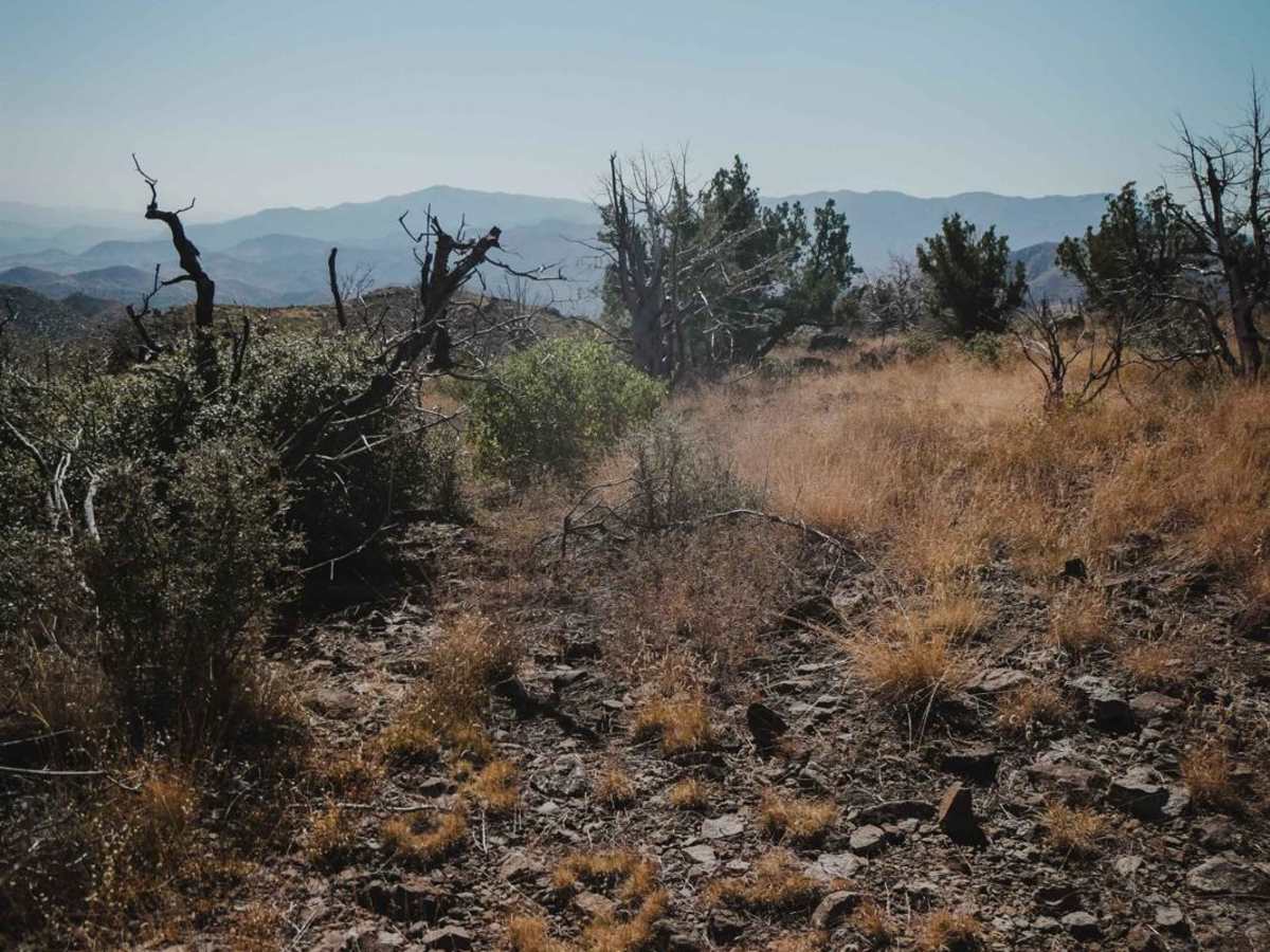 Little Wolf Creek trail photo