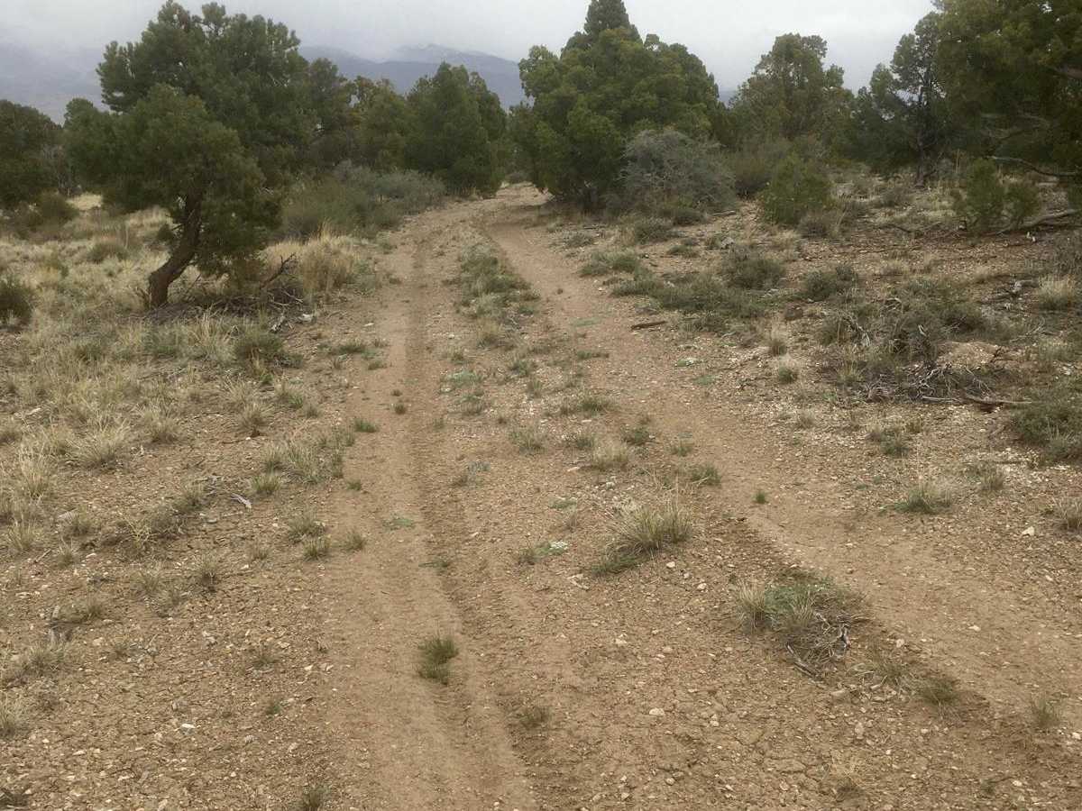 South Gallagher ATV Trail photo 4