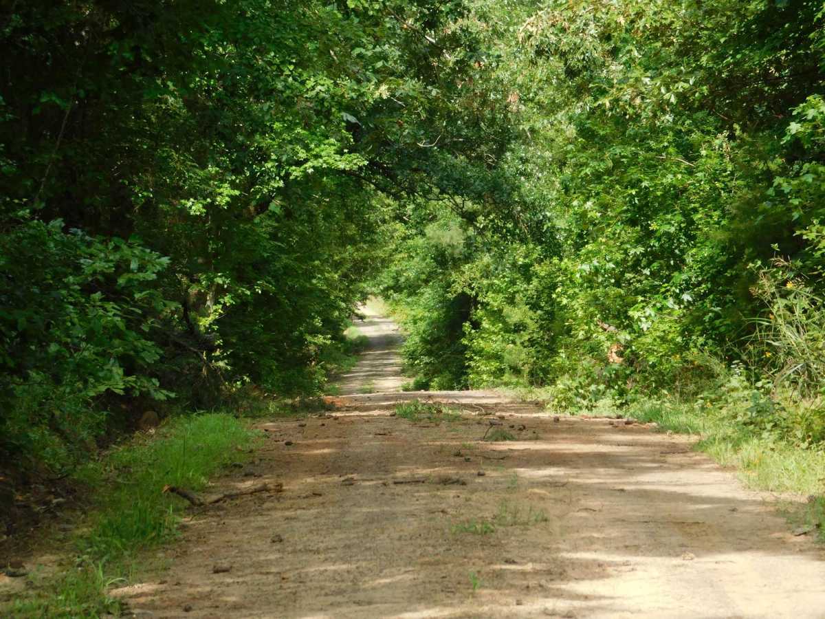 Arkansas Crossing NFS SEOK photo 3