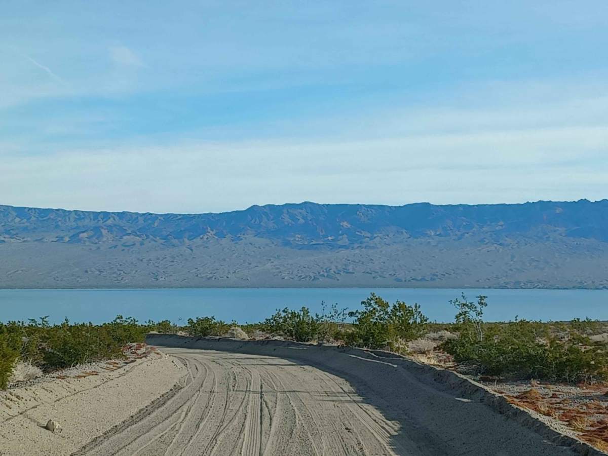 Tamarisk Road photo 2