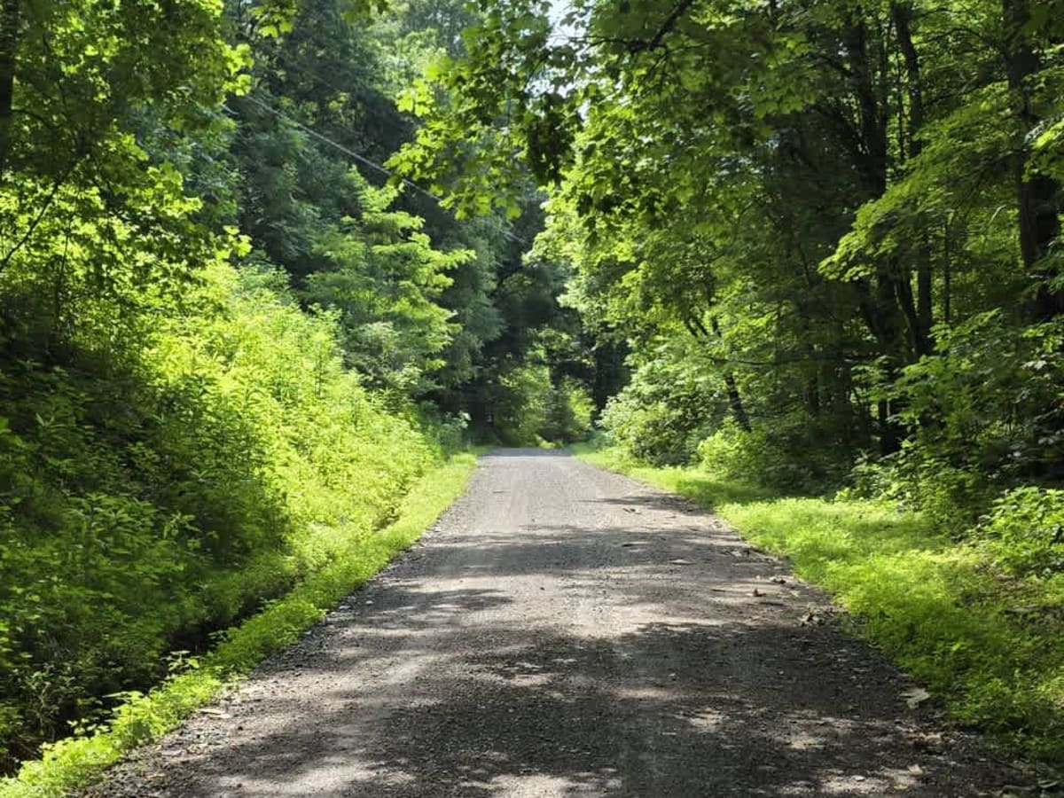 Dry Branch to Dixon Creek Road - Macon County Tour photo 3