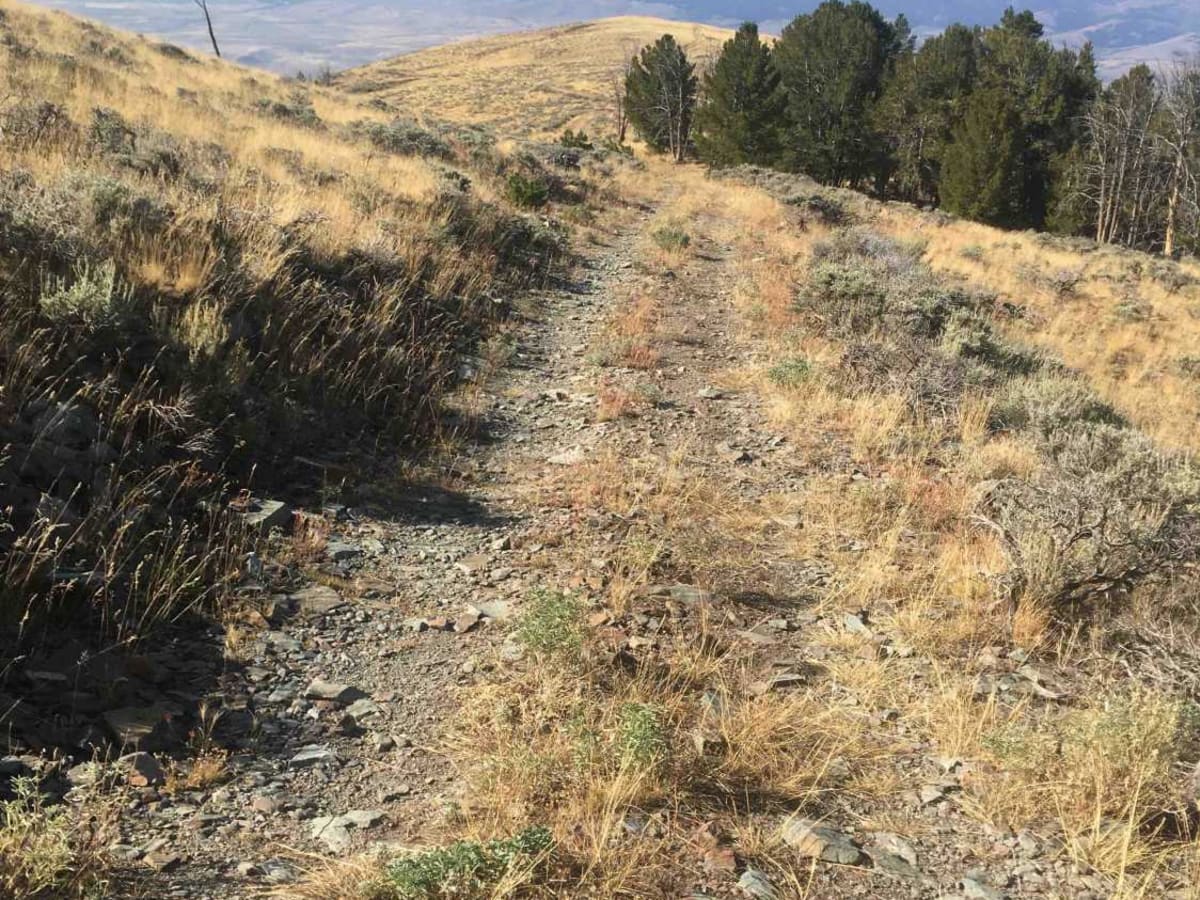 Peterson Creek Trail photo 4