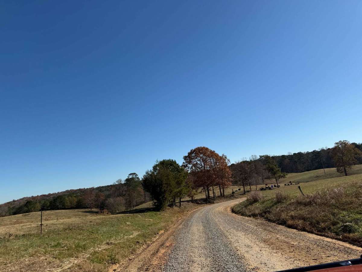 National Forest Road 121 photo 5