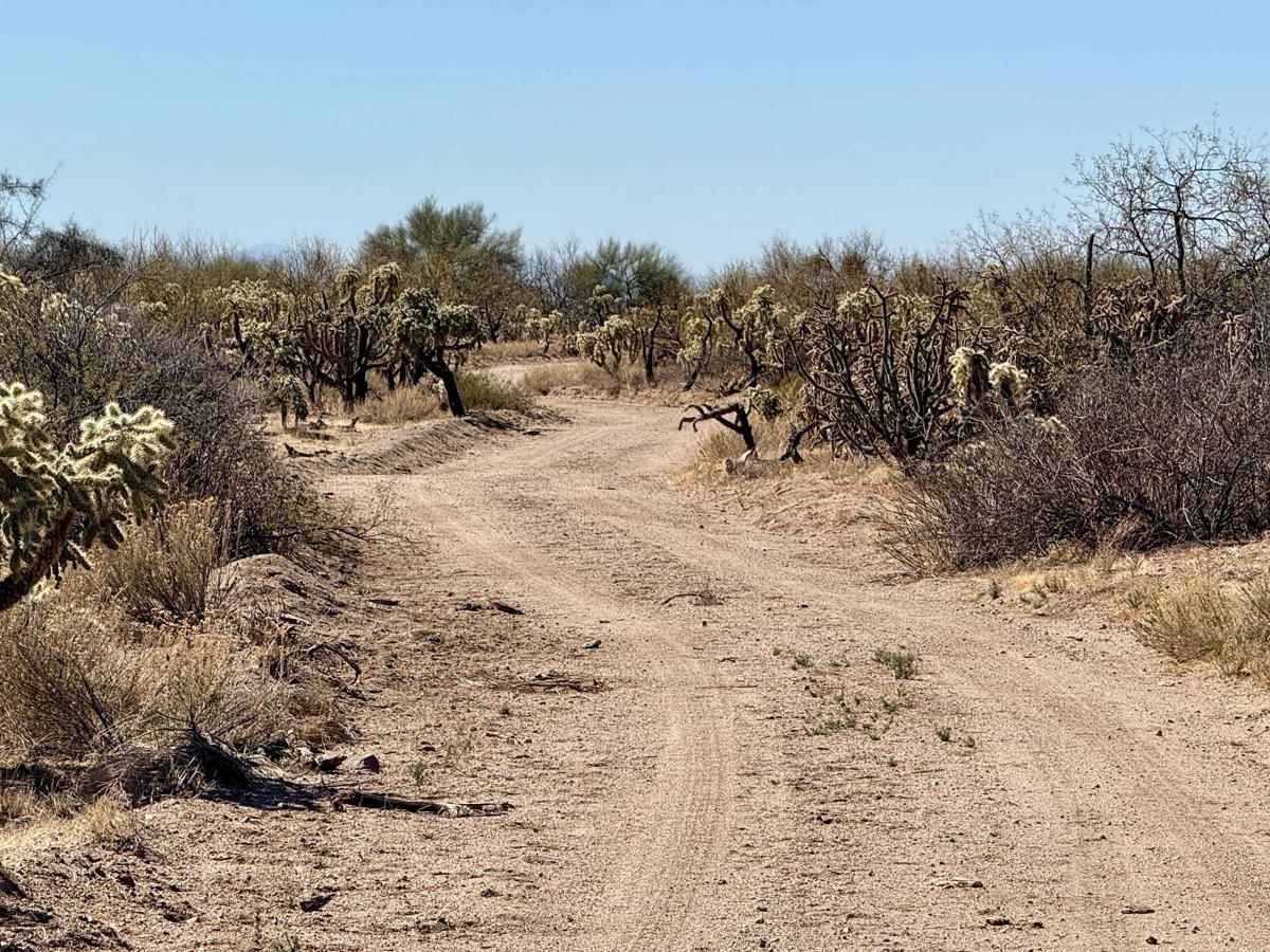 Big Tank and Suffering Wash trail photo