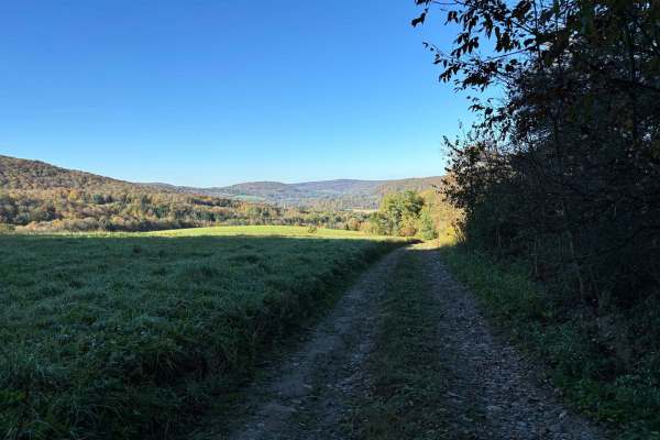 Cuyler Hill PFAR