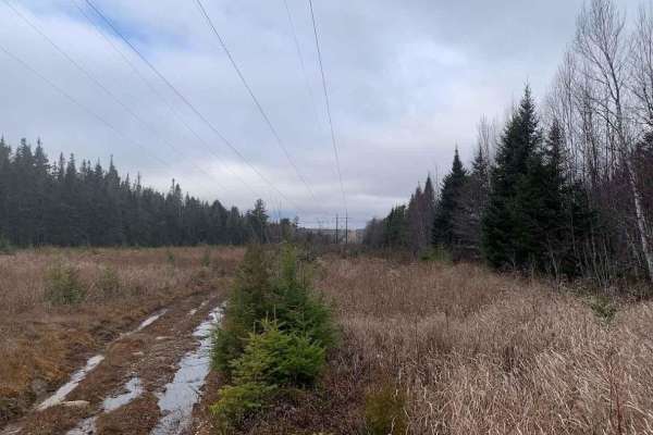 Pioneer Street Hydro Line