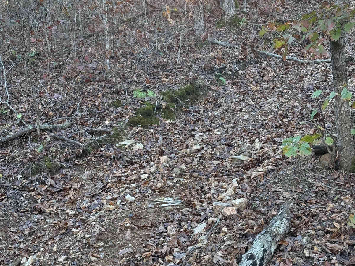 Yellow 143 trail photo
