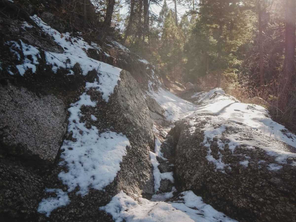 683 Fern Trail photo 5