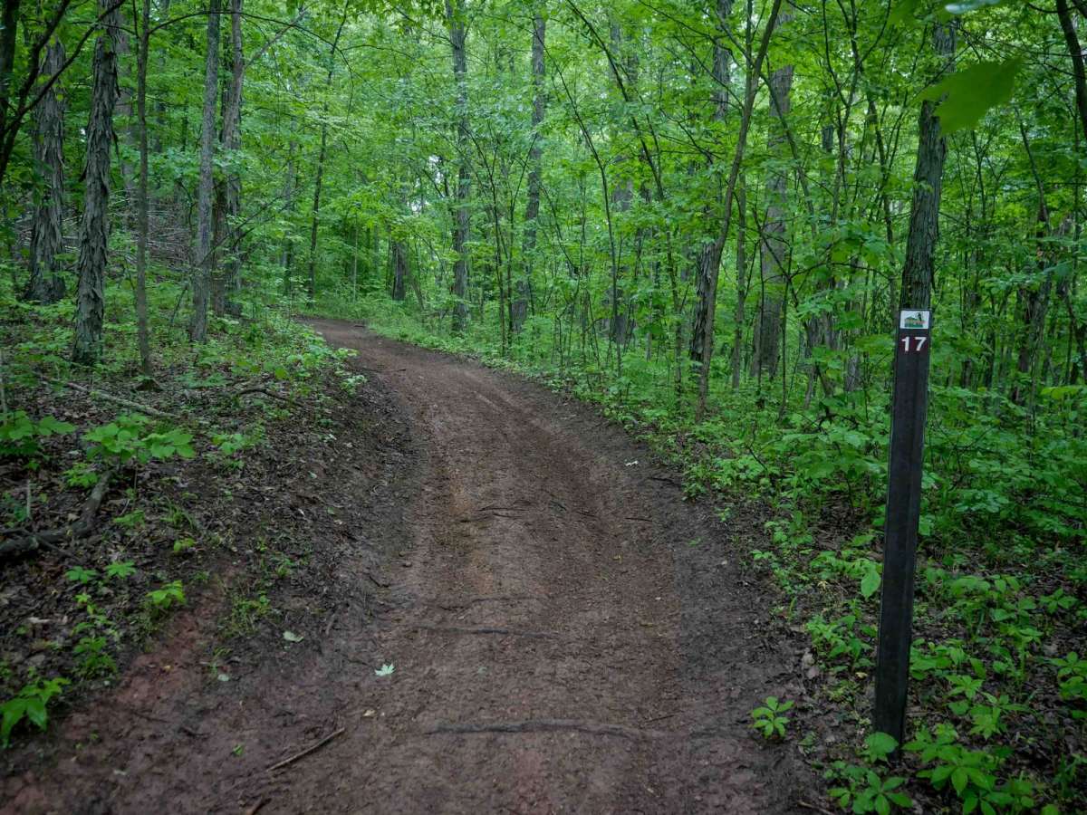 T17 trail photo