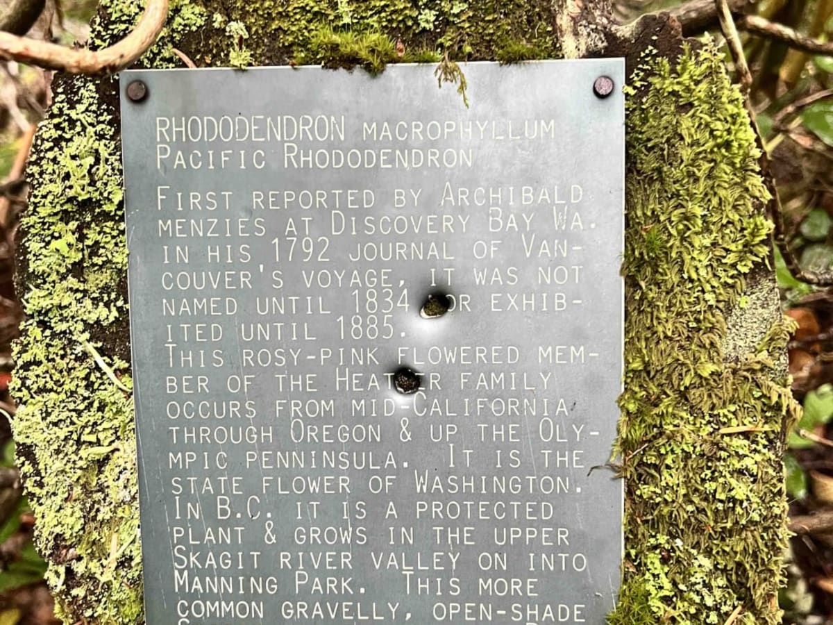 Rhododendron Lake Ecological Site photo 5