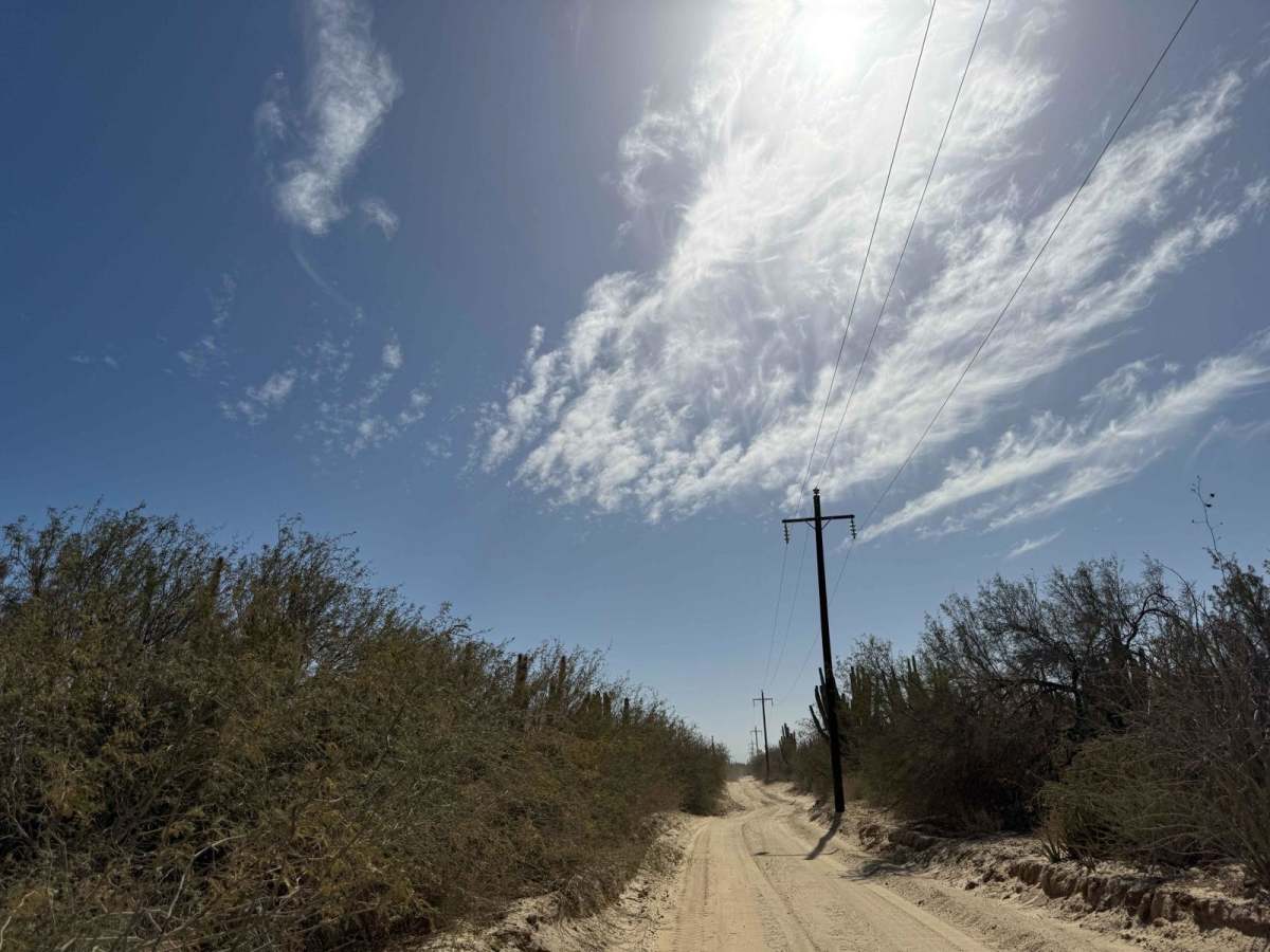 Rancho del Camino photo 2