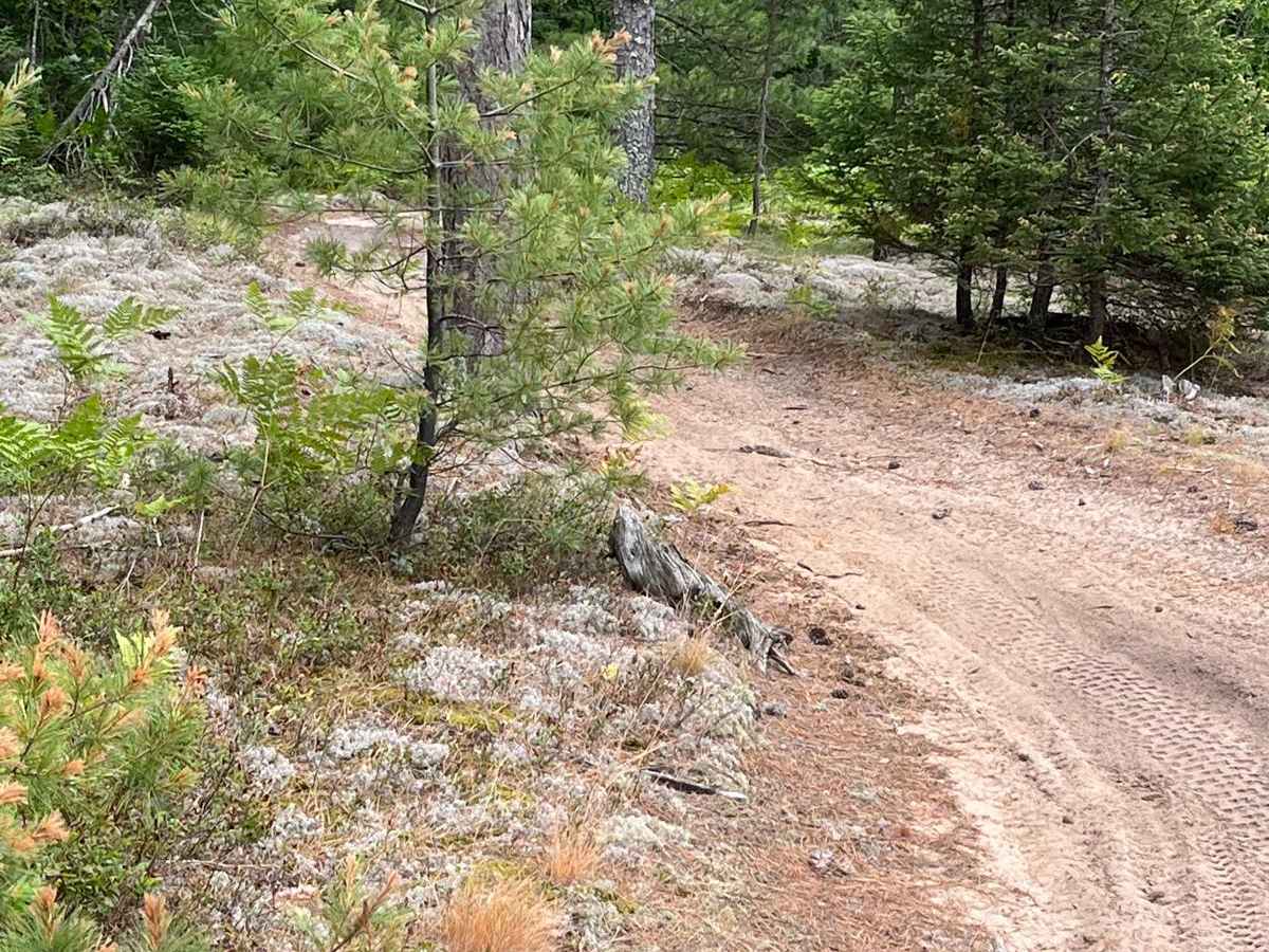 Two Hearted Trail West photo 5