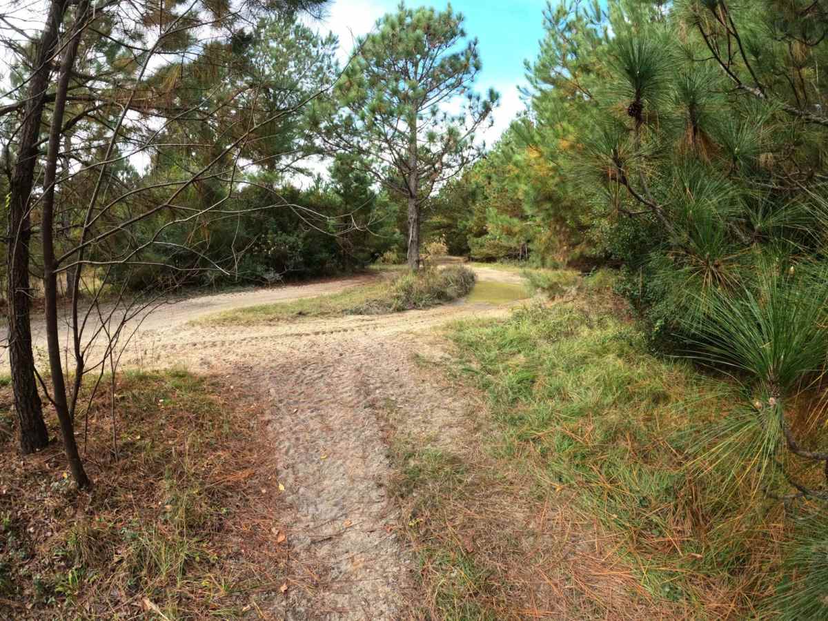Strickland Drive photo 4