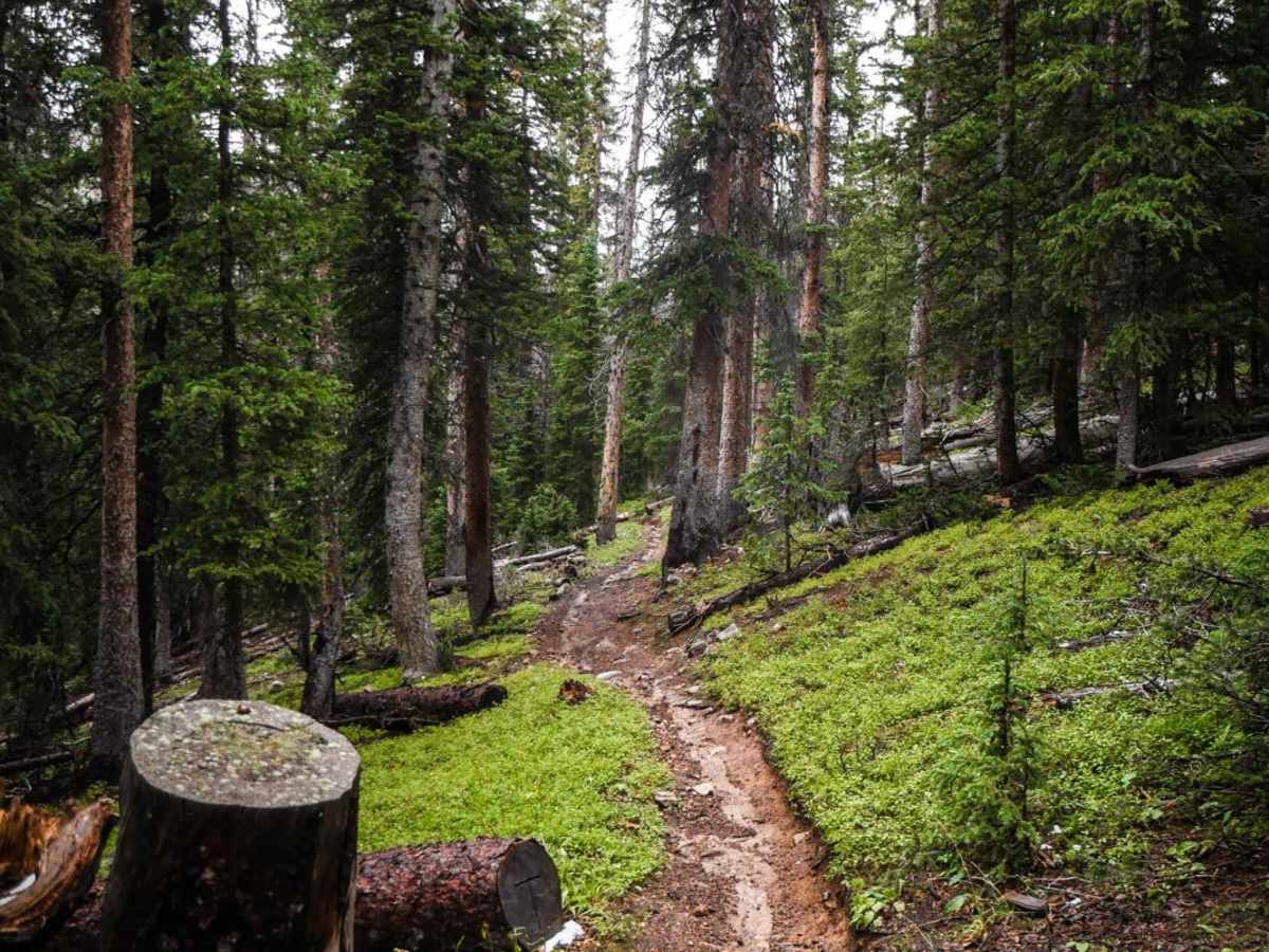 Cameron Gulch photo 6