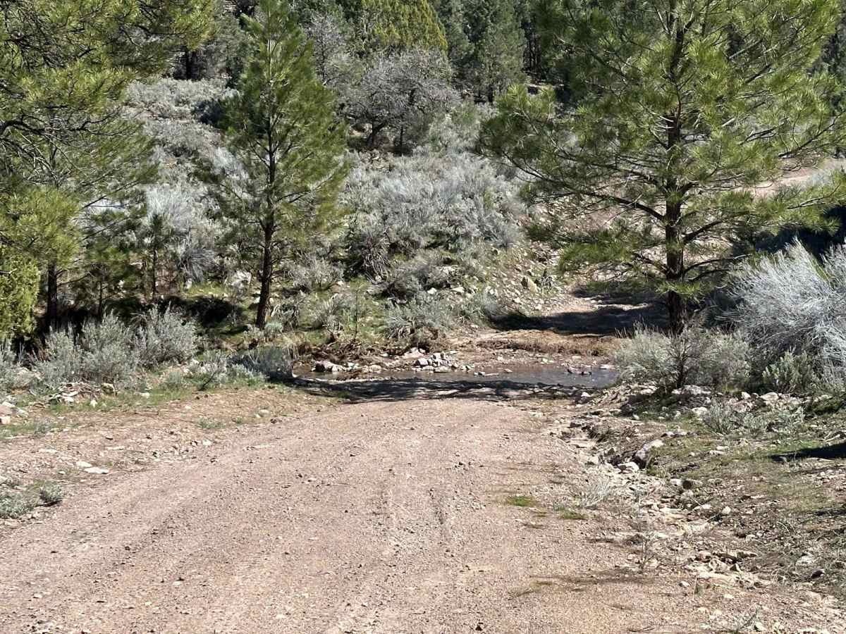 North Sam's Camp Road photo 6