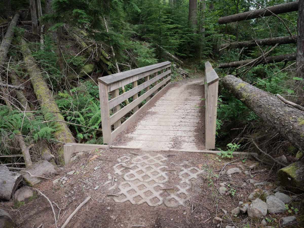Doug's Loop photo 2