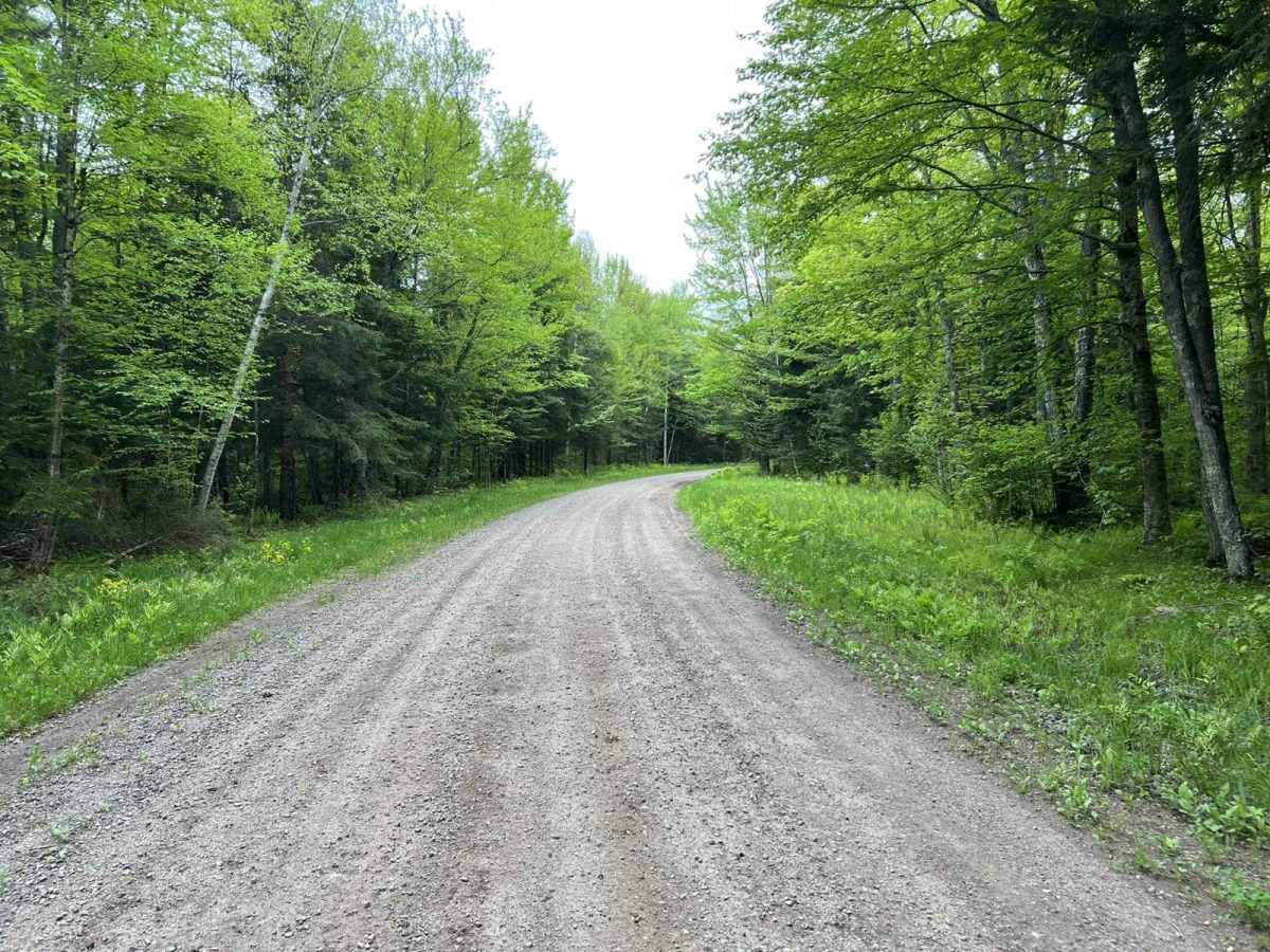 McArthur Pine FR 2167 photo 2