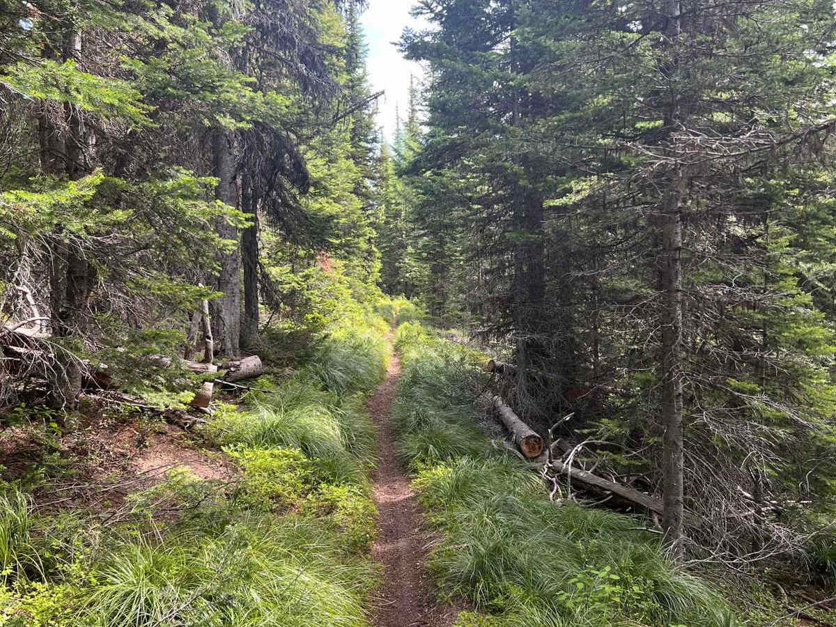 Ashley Mountain photo 5