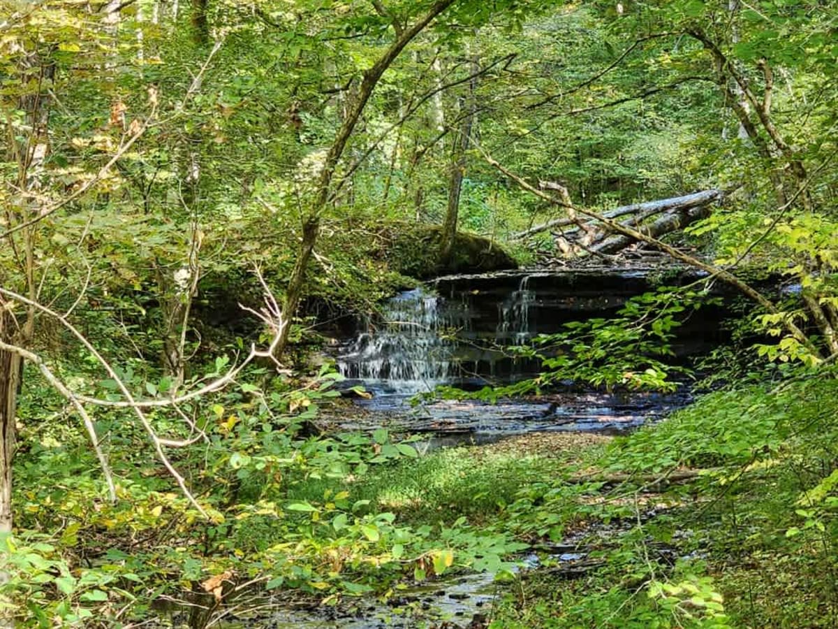 Dutch Potts Hollow Road photo 3
