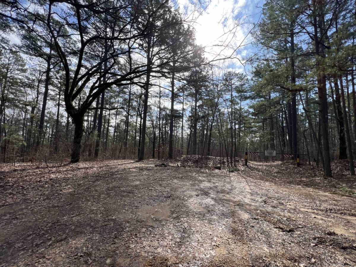 Link Mountain Road 210 photo 5