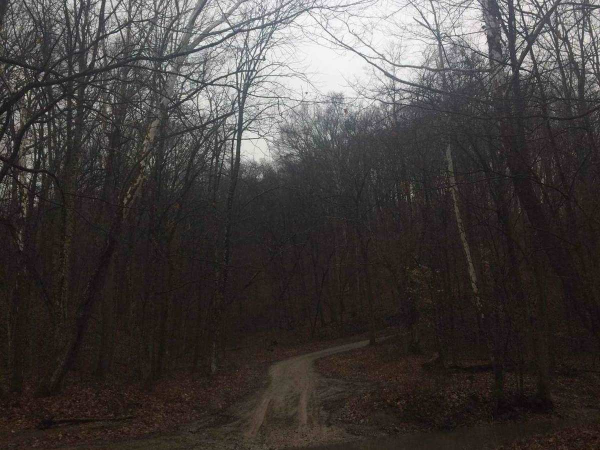 Indian Run photo 2