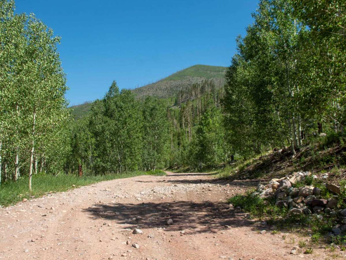 East Fork Bear River trail photo