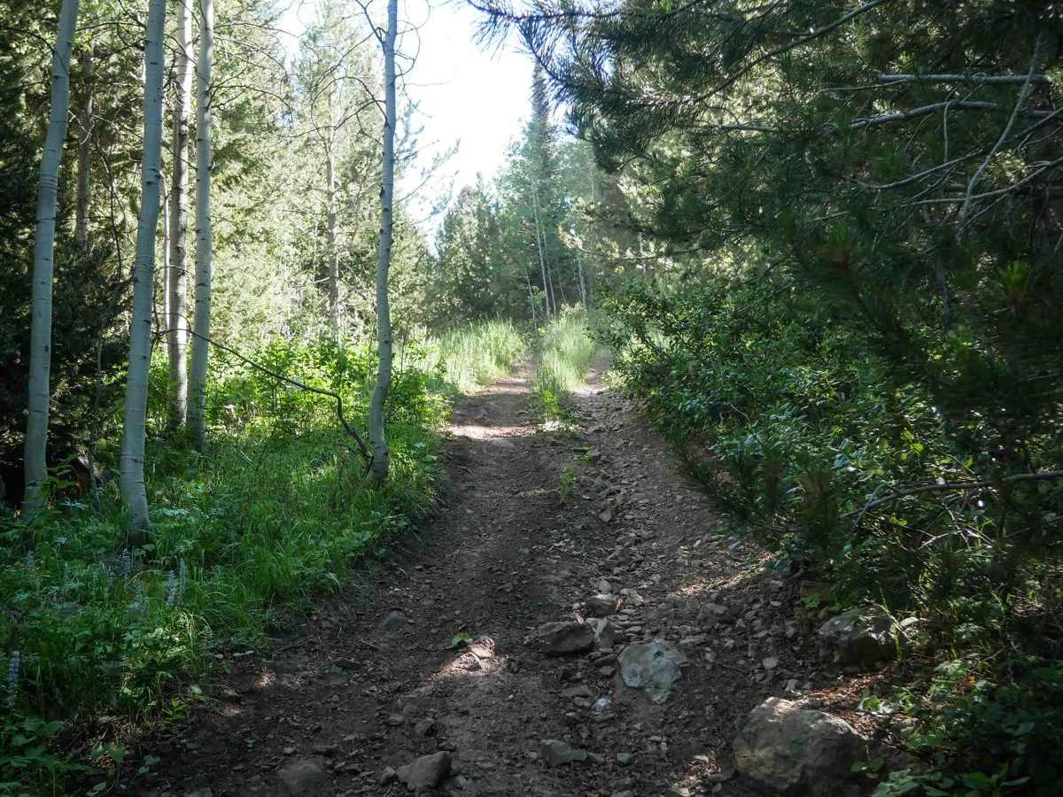 Horseshoe to Harrington #5212  photo 2