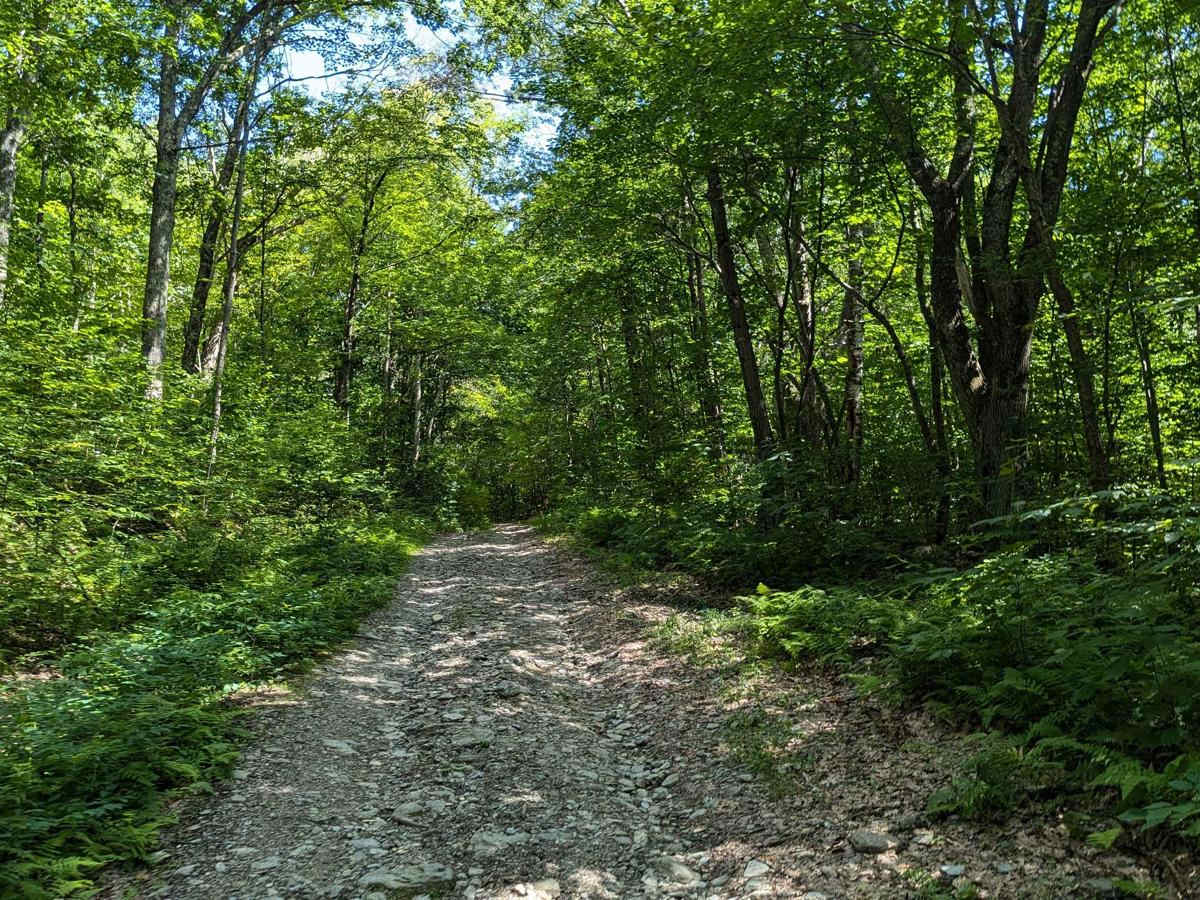 Southeast Corners Road photo 2