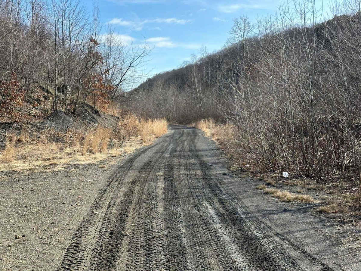 Locust Gap 37 photo 3
