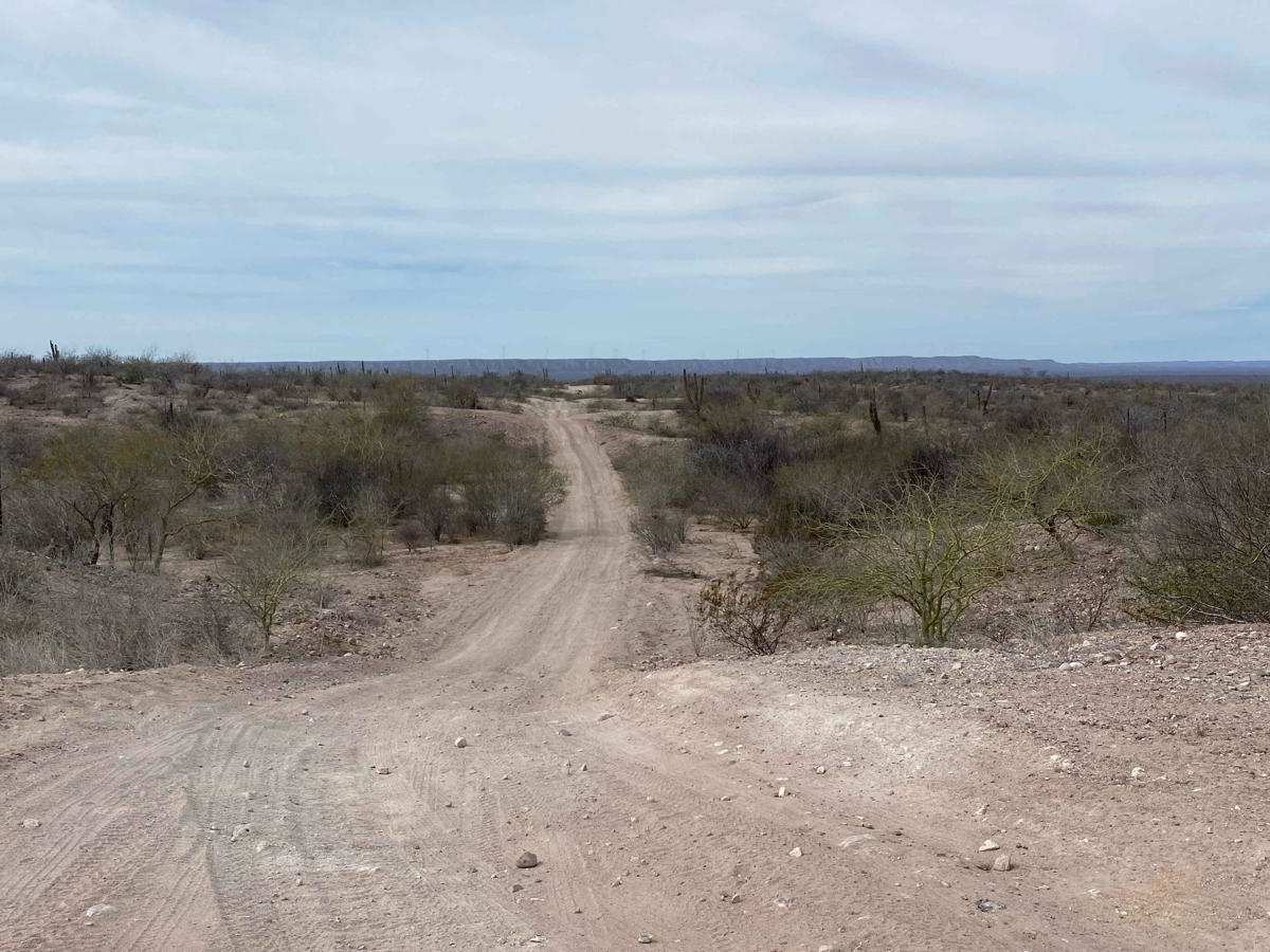 Cruz Loop trail photo