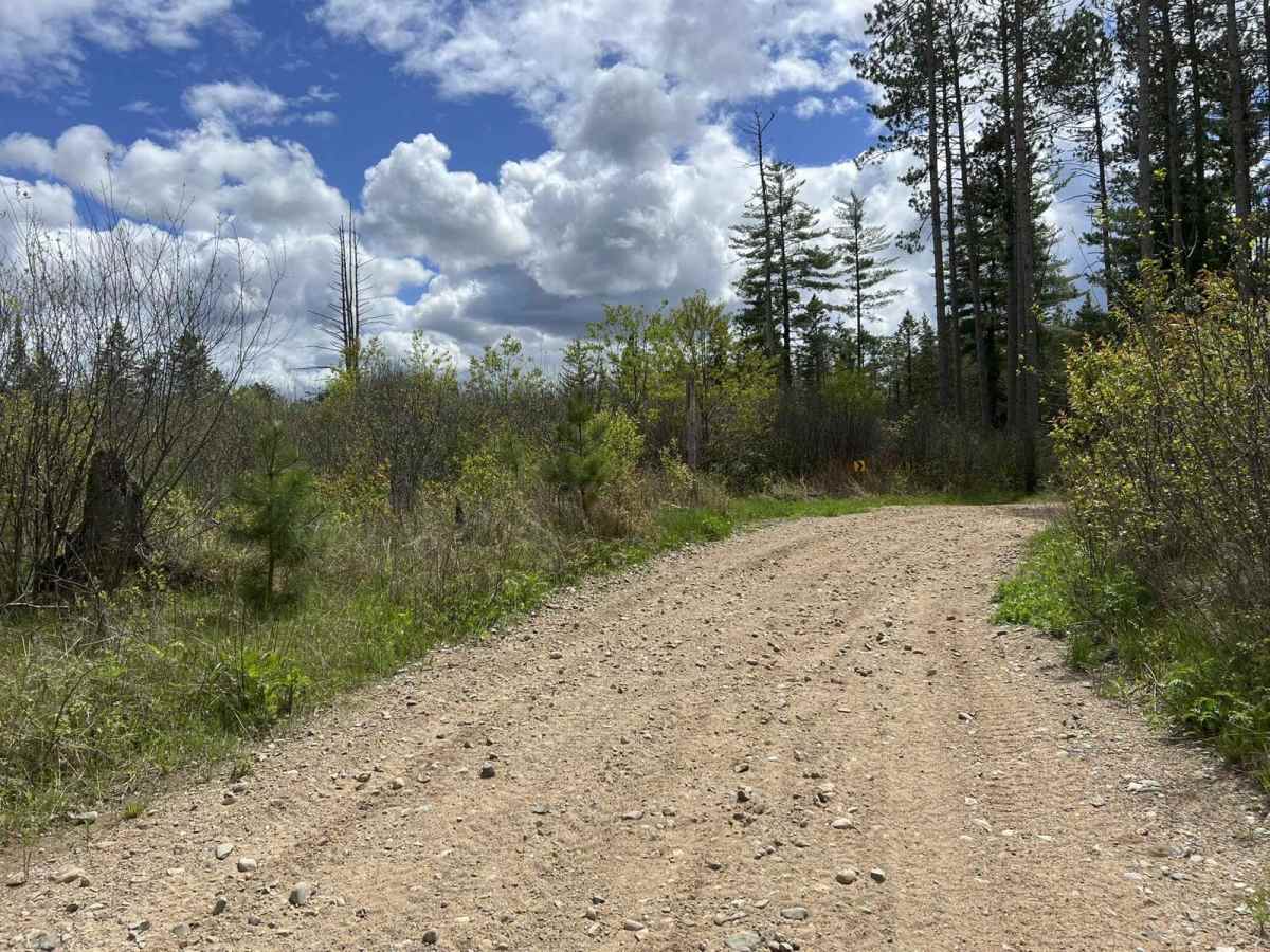 Starks Settlement Road Nicolet State Trail Access photo 5