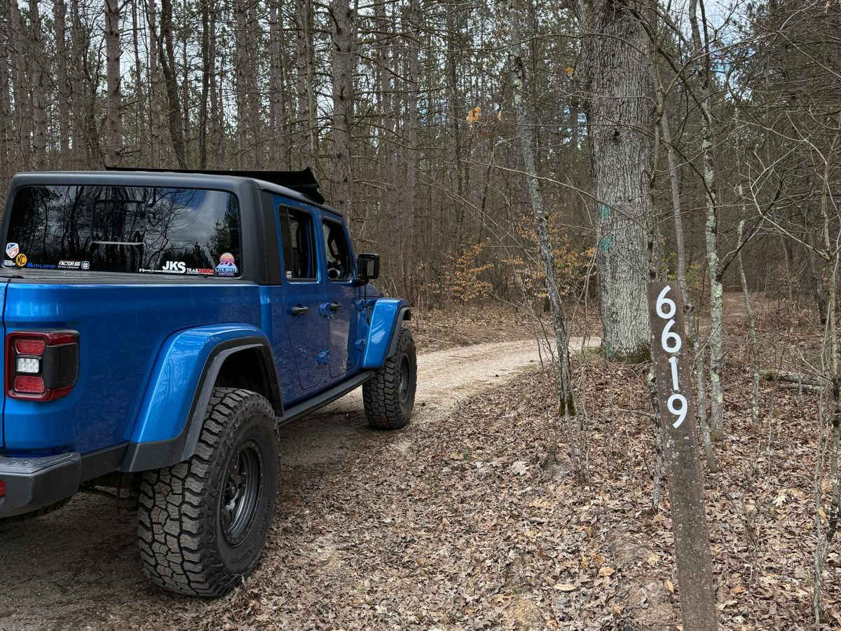 NFS 6619 photo 2