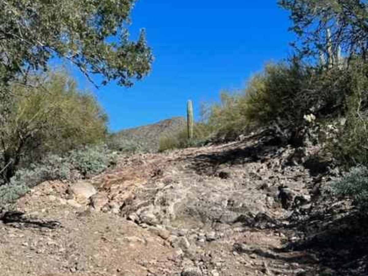 China Dam/Tule Homestead photo 4