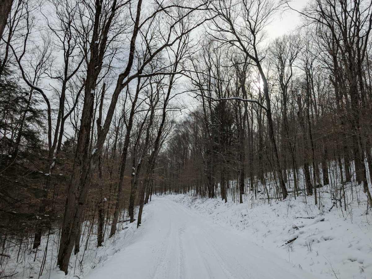 Headwater photo 3