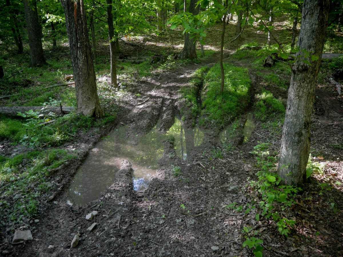 Single Track 3 photo 5